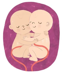 İkiz Bebek Bakımında Organizasyon